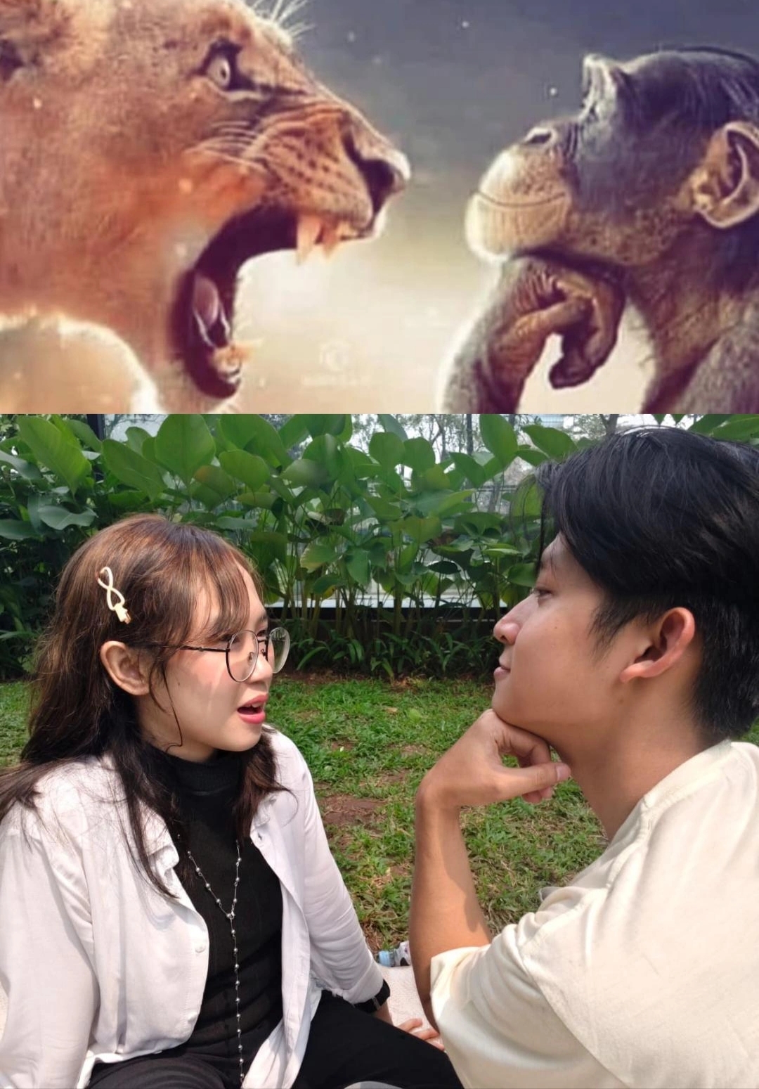 Meme recreate